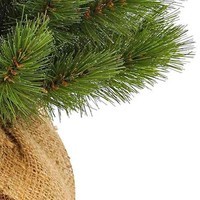 Фото Новогодняя искусственная литая сосна Triumph Tree Forest frosted 45 см Зеленая 8712799955837