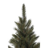 Фото Новогодняя искусственная литая сосна Triumph Tree Forest frosted 60 см Зеленая 8717669551874