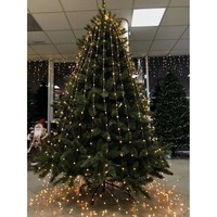 Новогодняя искусственная литая сосна Triumph Tree Forest frosted 260 см Зеленая 8711473151527