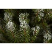 Новогодняя искусственная литая сосна Triumph Tree Pittsburgh 215 см Зеленая 8718861280357