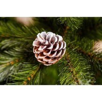 Фото Новогодняя искусственная литая сосна Triumph Tree Pittsburgh 230 см Зеленая 8718861280364