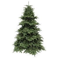 Фото Новогодняя елка искусственная литая Triumph Tree Abies Nordmann de Luxe 230 см Зеленая 8711473890211