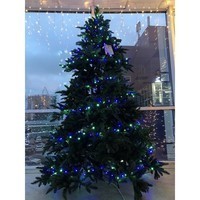 Новогодняя елка искусственная литая Triumph Tree Abies Nordmann de Luxe 230 см Зеленая 8711473890211
