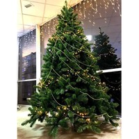Фото Новогодняя елка искусственная Triumph Tree Scandia 185 см Зеленая 8711473059939