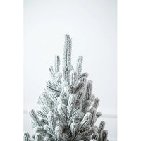 Фото Новогодняя елка искусственная литая SIGA GROUP Vienna 70 см Зеленая 4829225150064
