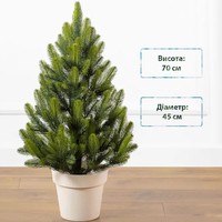 Фото Новогодняя елка искусственная литая SIGA GROUP Lapland 70 см Зеленая весенняя 4829221720070