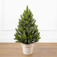 Фото Новогодняя елка искусственная литая SIGA GROUP Lapland 70 см Зеленая весенняя 4829221720070