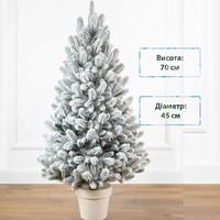 Фото Новогодняя елка искусственная литая SIGA GROUP Lapland 70 см Зеленая 4829221710071