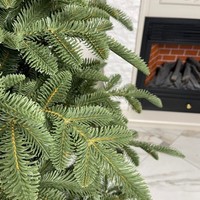 Фото Новогодняя елка искусственная литая Смерека пласт Belgian 160 см Зеленая Belgian tree - 160