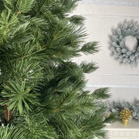 Фото Новогодняя искусственная сосна литая Смерека пласт Canadian 260 см Зеленая Pine Canadian - 260