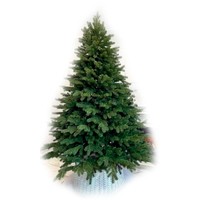 Фото Новогодняя елка искусственная литая Смерека пласт Scotland 230 см Зеленая Scotland tree - 230